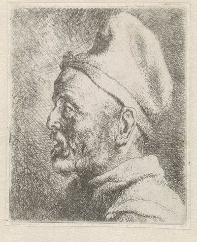 Głowa starego mężczyzny w wysokiej czapce autorstwa Jan Lievens