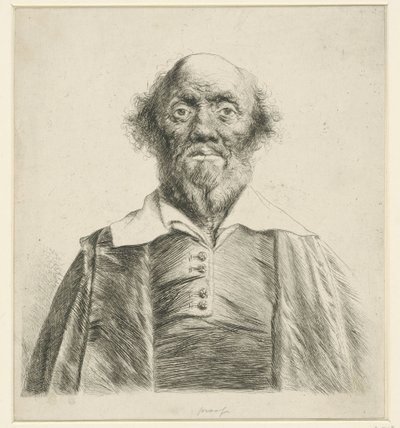 Portret starego mężczyzny autorstwa Jan Lievens