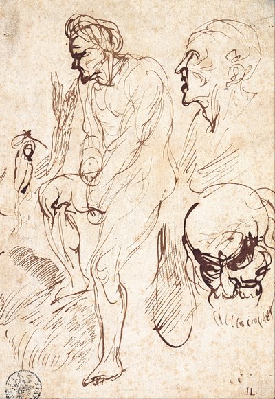 Badania po modelu autorstwa Jan Lievens