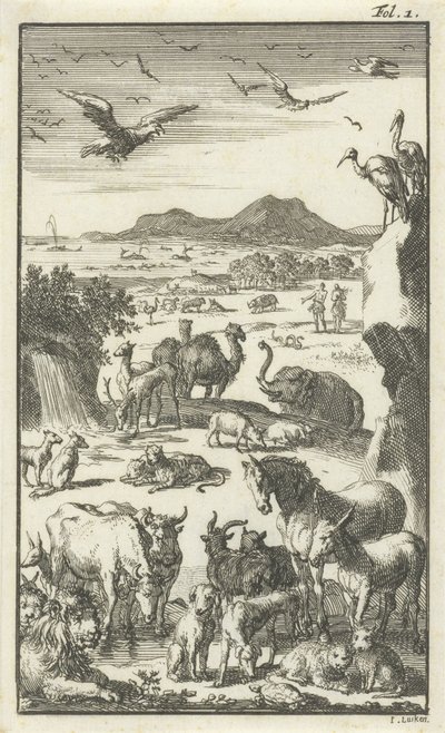 Stworzenie autorstwa Jan Luyken