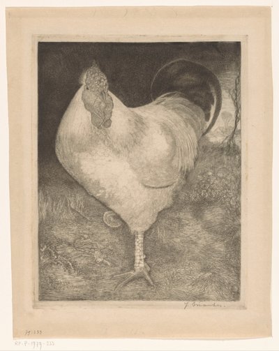 Kogut na jednej nodze autorstwa Jan Mankes (signed by artist)
