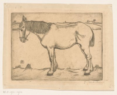 Koń autorstwa Jan Mankes (signed by artist)
