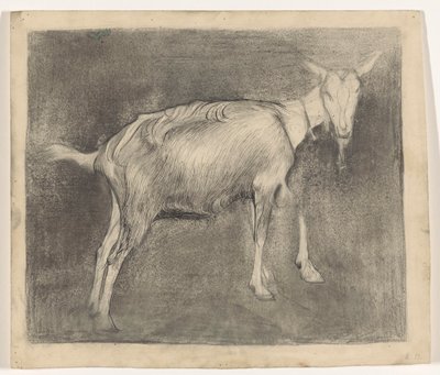 stojąca koza autorstwa Jan Mankes