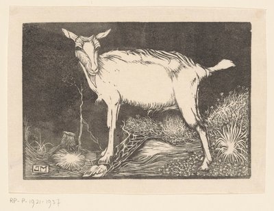 biała koza autorstwa Jan Mankes