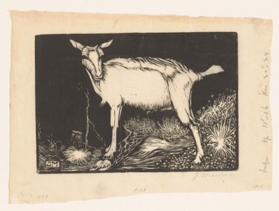 biała koza autorstwa Jan Mankes