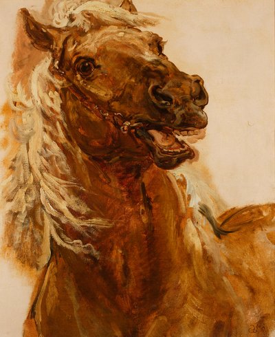 Szkic głowy konia do obrazu "Zamoyski pod Byczyną" autorstwa Jan Matejko