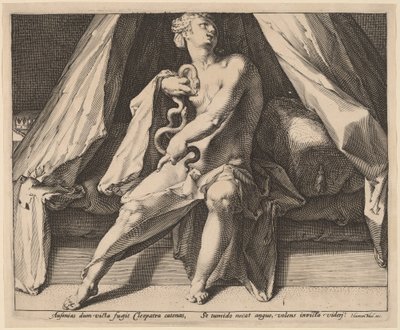 Kleopatra autorstwa Jan Muller