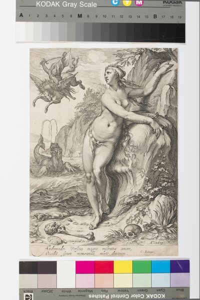 Andromeda, c.1609 (grawerowanie) autorstwa Jan Saenredam