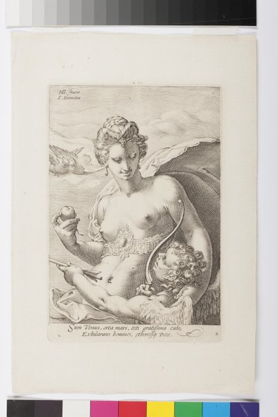 Wenus (grawerowanie) autorstwa Jan Saenredam