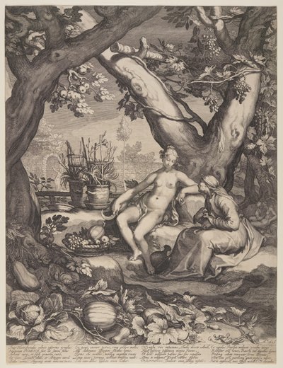 Vertumnus i Pomona autorstwa Jan Saenredam