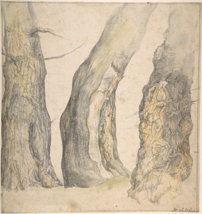 Studium trzech starych sękatych drzew, 1660. autorstwa Jan Siberechts