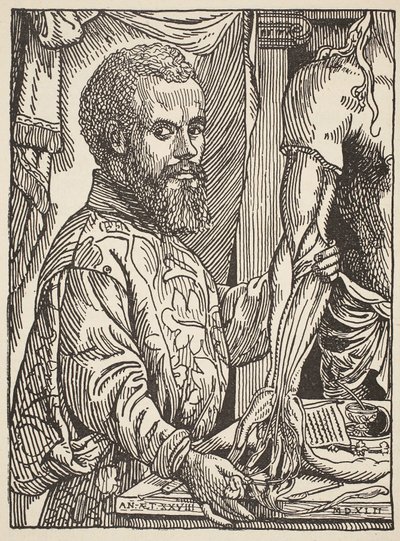 Andre Vesale, kopia Borisa Mestchersky