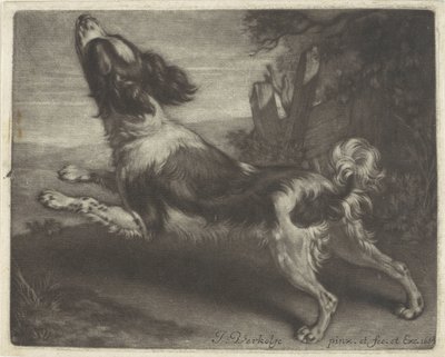 Biegnący pies, prawdopodobnie spaniel autorstwa Jan Verkolje (I)