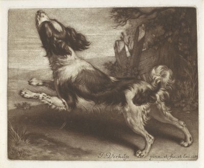 Biegnący pies, prawdopodobnie spaniel autorstwa Jan Verkolje (I)