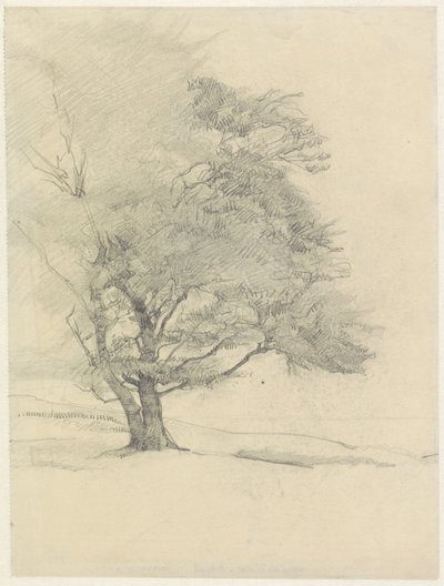  autorstwa Jan Veth