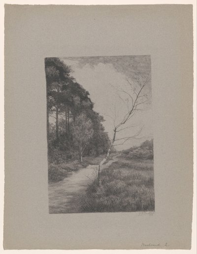  autorstwa Jan Veth