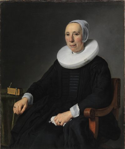 Portret damy autorstwa Jan Victors
