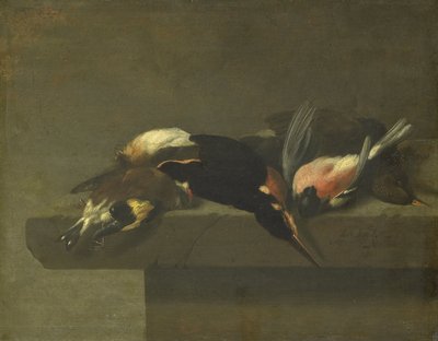 Martwe ptaki autorstwa Jan Vonck