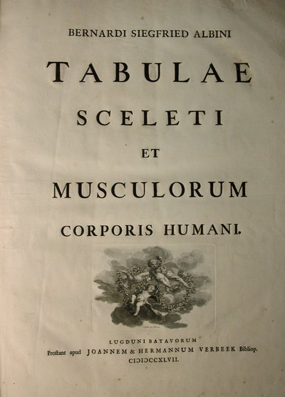 Albinus I, strona tytułowa, z książki „Mięśnie szkieletowe i mięśnie ludzkiego ciała” autorstwa Bernharda Siegfrieda Albinusa (1697-1770), opublikowanej przez J.undH. Verbeek, bibliop., Leiden, 1747 autorstwa Jan Wandelaar
