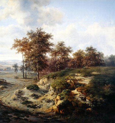 Ścieżka do Sandhugel autorstwa Jan Wijnants