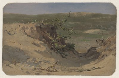 Nirwana DUI autorstwa Jan Willem van Borselen