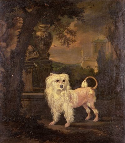 Lowchen przy fontannie autorstwa Jan Wyck