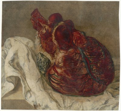 Odciski mózgu i serca Badanie anatomiczne ludzkiego serca autorstwa Jan l
