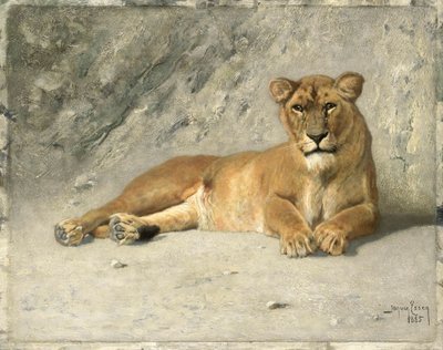 Lwica odpoczywa autorstwa Jan van Essen