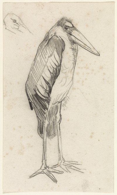 Marabut autorstwa Jan van Essen
