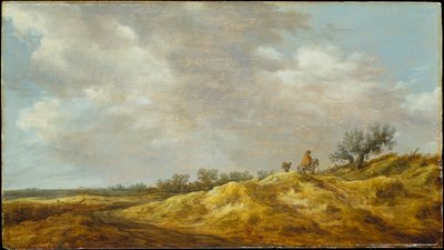  autorstwa Jan van Goyen