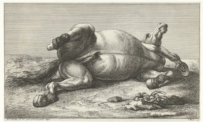 Martwy koń leżący na lewym boku Martwe konie (tytuł serii) autorstwa Jan van Huchtenburg