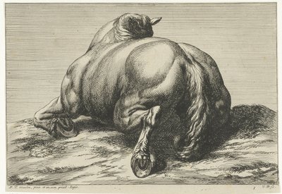 Upadły koń na brzuchu widziany od tyłu Martwe konie (tytuł serii) autorstwa Jan van Huchtenburg