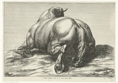 Upadły koń na brzuchu widziany od tyłu Martwe konie (tytuł serii) autorstwa Jan van Huchtenburg