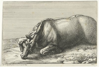 Martwy koń widoczny po lewej stronie Martwe konie (tytuł serii) autorstwa Jan van Huchtenburg