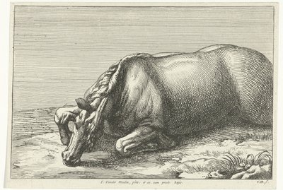 Martwy koń widoczny po lewej stronie Martwe konie (tytuł serii) autorstwa Jan van Huchtenburg