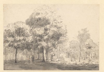 Widok na Haarlemmerhout, Haarlem autorstwa Jan van Kessel (attributed to)