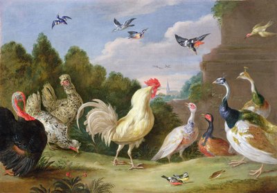 Zalesiony krajobraz z kogutem, indykiem, kurami i innymi ptakami, XVII w. autorstwa Jan van Kessel the Elder