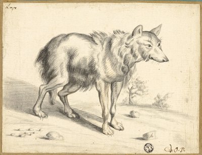 Wilk autorstwa Jan van Os