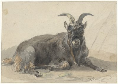 Leżąca czarna koza autorstwa Jan van Ravenswaay