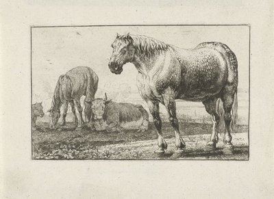 Konie i krowy Zwierzęta (tytuł serii) Zoografia (tytuł serii) autorstwa Jan van den Hecke