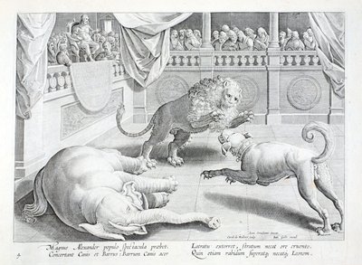 Aleksander Wielki stawia na widowisko, walka lwa, psa i słonia, ilustracja z „Venationes, Ferarum, Avium, Piscium” (O polowaniu: dzikie zwierzęta, ptaki, ryby), sztychowana przez Jana Collaerta (1566-1628), pub . Phillipus Gallaeus, Amsterdam (grafika) autorstwa Jan van der Straet