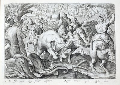 Słonie robią wielki hałas, gdy są uderzane włóczniami myśliwych, ilustracja z „Venationes, Ferarum, Avium, Piscium” (O polowaniu: dzikie zwierzęta, ptaki, ryby), ryt. Jan Collaert (1566-1628), wyd. Phillipus Gallaeus, Amsterdam (rycina) autorstwa Jan van der (1523 1605) Straet