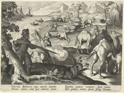 Marynarze w okropnym kraju barbarzyńców zabijają wielbłądy muszkietami, aby zaspokoić głód, ilustracja z „Venationes, Ferarum, Avium, Piscium” (O polowaniu: dzikie zwierzęta, ptaki, ryby), ryt. Jan Collaert (1566-1628), wyd. przez Phillipusa Gallaeusa, Ams autorstwa Jan van der (1523 1605) Straet