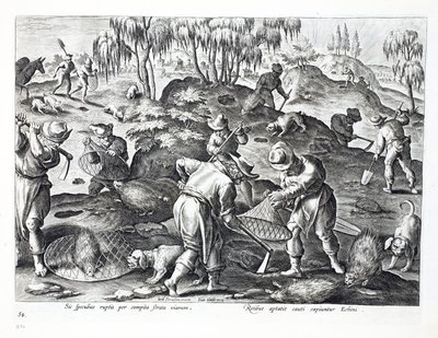Wykopywanie i chwytanie jeżozwierzy, tablica 54, ilustracja z "Venationes, Ferarum, Avium, Piscium" (O polowaniu: dzikie zwierzęta, ptaki, ryby), rycina Jana Collaerta (1566-1628), wyd. Phillipus autorstwa Jan van der Straet