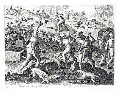 Wykopywanie i chwytanie borsuków, ilustracja z „Venationes, Ferarum, Avium, Piscium” (O polowaniu: dzikie zwierzęta, ptaki, ryby), sztychowana przez Jana Collaerta (1566-1628), wyd. przez Phillipusa Gallaeusa, Ams autorstwa Jan van der Straet
