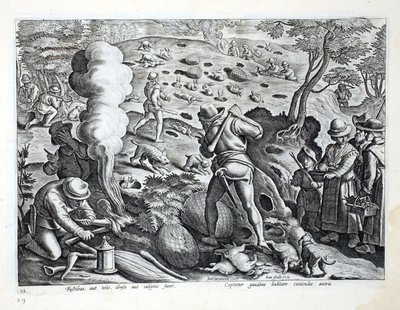 Polowanie na króliki, ilustracja z „Venationes, Ferarum, Avium, Piscium” (O polowaniach: dzikie zwierzęta, ptaki, ryby), ryt. Jan Collaert (1566-1628), wyd. autorstwa Phillipusa Gallaeusa, Amsterdam autorstwa Jan van der Straet