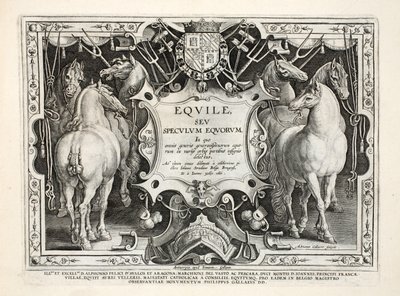 Ilustracja z „Venationes, Ferarum, Birds, Fish” (O polowaniach: dzikie zwierzęta, ptaki, ryby), sztych. Jan Collaert (1566-1628), wyd. autorstwa Phillipusa Gallaeusa, Amsterdam autorstwa Jan van der Straet