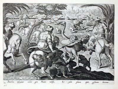 Wrzosowiska na koniu polują na strusie, tablica 62, ilustracja z „Venationes, Ferarum, Avium, Piscium” (Polowanie: Dzikie zwierzęta, Ptaki, Ryby), sztych. Jan Collaert (1566-1628), wyd. przez Phillipusa autorstwa Jan van der Straet