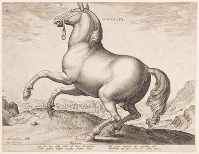 Koń francuski, z pierwszego zestawu „Equile Joannis Austriaci” autorstwa Jan van der Straet, called Stradanus