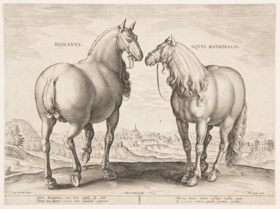 Koń rzymski z pierwszego zestawu „Equile Joannis Austriaci” autorstwa Jan van der Straet, called Stradanus